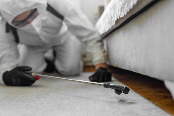 Professional Bed Bug Control technician working in Kermit, TX
